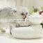 Creative Retro Design Cyclic Water Fountain Pet Feeder Dogs Cats Water Bowl Neck Protection