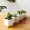 Decorative White Ceramic Square Succulent Cactus Planter Pot with Wooden Tray