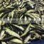 Good quality frozen sardine fillet boneless tail on