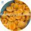 High quality New crop high quality IQF apricot half