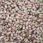 Henning Saint peanut color sorter
