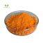 Wholesale Price Bulk 100% Pure Natural Organic Turmeric Root Extract 95% Curcumin Powder