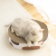 MeowLove Hot sales scratcher cat play toy corrugated cardboard cat scratcher cat cardboard