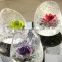 wholesale clear glass vases / terrarium wedding table decorations                        
                                                Quality Choice
