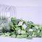 Pure nature new crop hot selling freeze dried leek