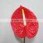 Durable antique anthurium flowers napkin ring