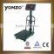 scales 250kg