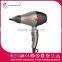 Professional Hair DryerIonic hair dryer Gray hair dryer