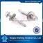 Ningbo WeiFeng high quality low price many kinds of fasteners anchor, screw, washer, nut ,bolt belt buckle screws