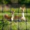 PP deer block netting,deer block fence netting UV Stabilized