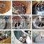 China Puxin Easy and Quick to be Built Family Size 6m3 Hydraulic Pressure Biogas Plant