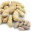 Supply Healthy Snack Roasted Salted Peanut kernels