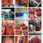 Sany motor travel for sale