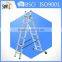 extendable ladder, 2-section extension ladder, sliding ladder