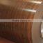 New prepainted galvanized steel