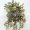 artificial evergreen leaves hanging YL809