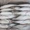 Frozen Hard Tail Scad /Horse Mackerel Fish