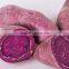 Fresh Purple Sweet Potato