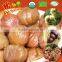Ready to eat nuts &Kernel halal snacks--organic chestnuts snacks
