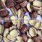 SUPPLIER OF SPLIT LOTUS SEED HIGH QUALITY FROM VIETNAM