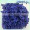 Supply Light Blue Preserved Flower Preserved Fresh Hydrangea Natural Flowers Decoration Wedding Events