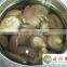 Fresh whole mushroom shiitake in can