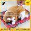 novelty pet miniature statues realistic and funny plush toys pug dog
