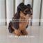 furry lifelike realistic animal figurines simulated dog with clothes