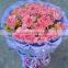 Fresh Cut Ornamental Carnation Flowers Fresh Carnation Wholesale Prices