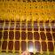PE Warning fence,Orange Safety fence,Snow fence (China factory)