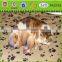 Cat and Dog Large Fleece Pet Blanket - Throw For Car, Lap, Sofa, Pet Bed, Crate, Kennel and Carrier