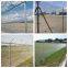 hot sale product galvanized chain link fence for zoo / chainlink wire fence