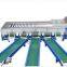 Weighting Dragon Fruit Sorting Machine | Dragon Fruit Grading Machine