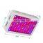 Factory Price 1000W Double Chips Full Spectrum LED Grow Lights  for Indoor Plants