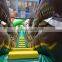 Dual Lane Inflatable Jungle Water Slides For Sale