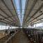 Prefabricated Light Steel Structure Cattle barn Cattle farm