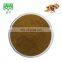 natural pure tamarind seed extract powder