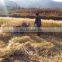 China Hot Self walking wheat harvesting and bundling machine /rice straw reaper and binder machine
