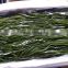 Frozen Kelp Cut , Salted Laminaira /Kombu seaweed