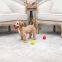 Squeaky ball