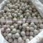 White Inert ceramic alumina ball