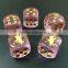 High quality plastic educational dice