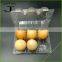 6 Cells Plaster Egg cartons Plastic clear Egg Trays Containers