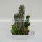 New arrival decorative artificial plants/ succulent plants mixed series