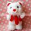Plush Toy Bear Wearing Red Vest/Soft Gift Toy Bear with Clothes/Stuffed Toy Bear in Red Vest