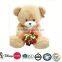 2 meter teddy bear custom plush toy/plush brown bear toy/soft plush brown bear toy