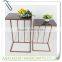 Set of 2 Newly Designed Decorative Metal Plant Stand