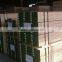 Furniture grade door skin lvl& lvb plywood sheet