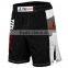 Men's quick dry printing fashion mma shorts boardshours beach shorts and good quality