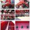 Tractor mounted wheat seeder with fertilizer seed drill